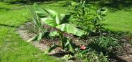 Garten gestalten - Tipps