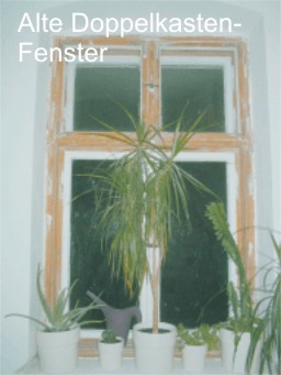 Altes Doppelkastenfenster aus Holz mit Pflanzen auf der Fensterbank